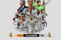 开云体育下载-冰与火的对决，弗拉霍维奇的烈焰与奥地利足球的理性崛起