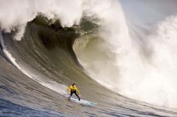 开云APP-逆境绽放，从24分大逆转看高诗岩的破茧时刻