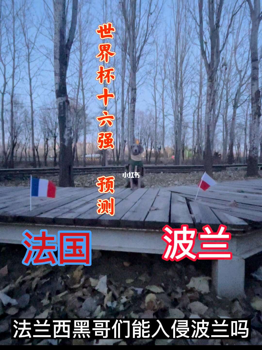 瑞典队大胜波兰毫无悬念晋级淘汰赛