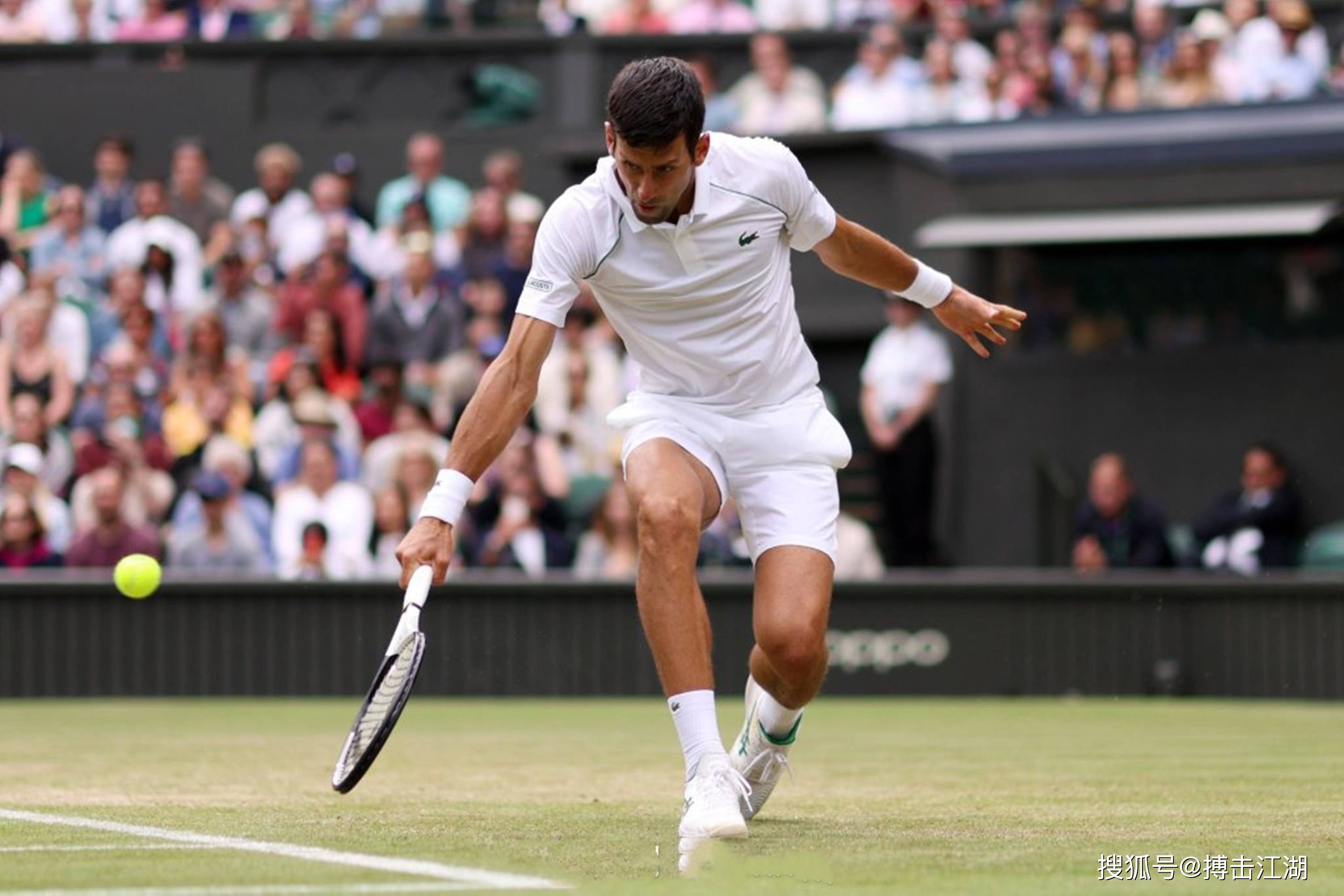 关于年终总决赛绝杀拉沃尔杯,德约科维奇状态火热的信息 关于年终总决赛绝杀拉沃尔杯,德约科维奇状态火热的信息