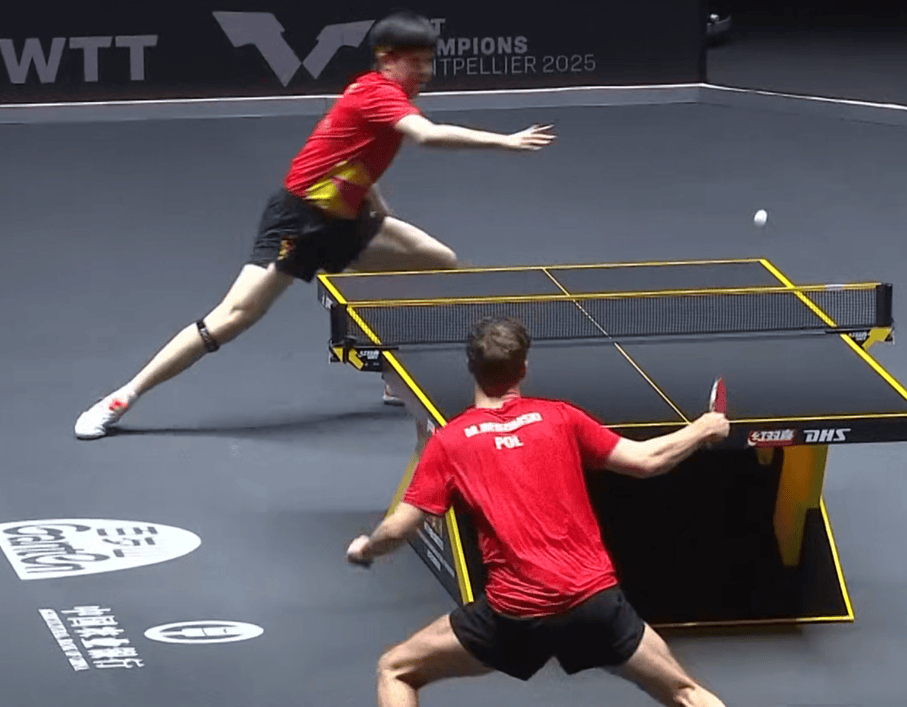 法国乒乓球队完胜波兰乒乓球队，王皓绝境逆转的简单介绍