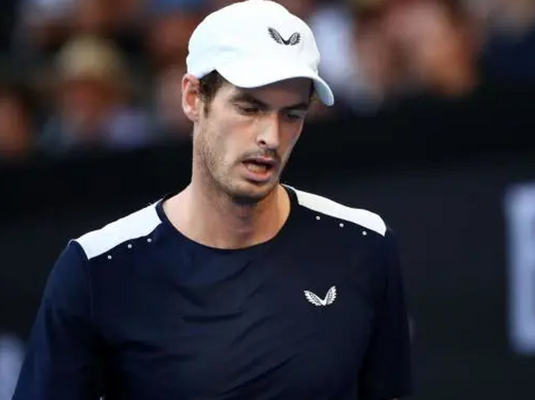 年终总决赛横扫澳网，穆雷刷新纪录